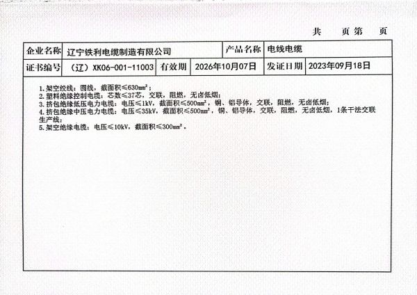 全國工業(yè)生產許可證  2.jpg